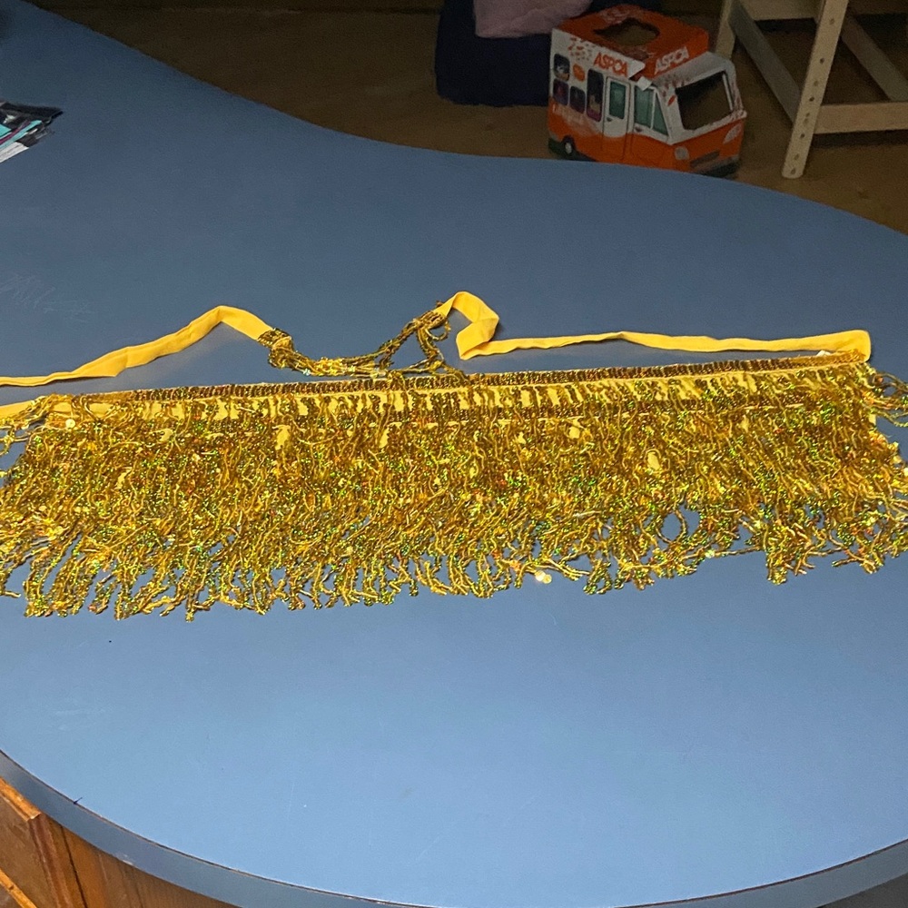 Sparkling Gold Sequin Fringe Belt